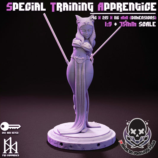 Special Training Apprentice - 1:9 Scale or 75mm - Jigglystix