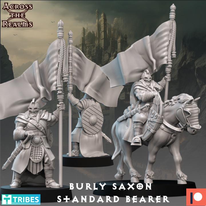 Saxon Standard Bearer Miniatures | Across the Realms