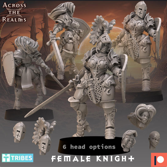 Female Knight Miniature | Across the Realms