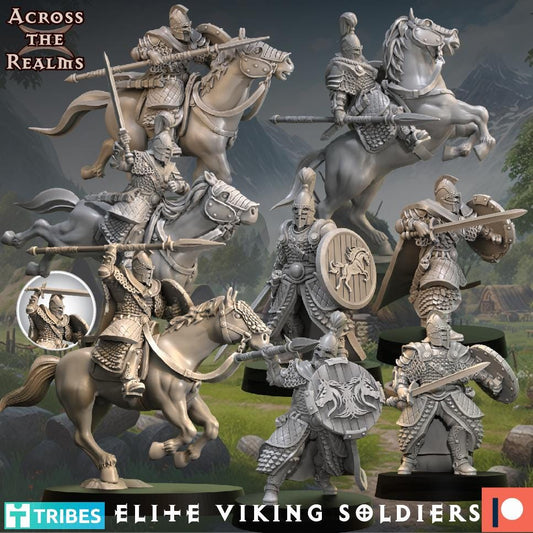 Elite Viking Soldier Miniatures | Across the Realms