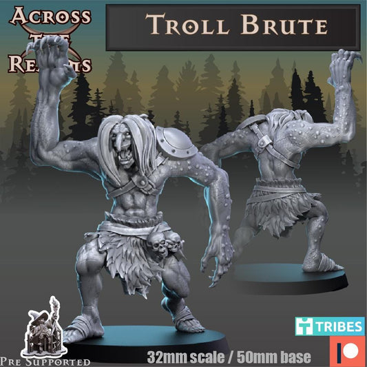Troll Brute Miniature | Across the Realms